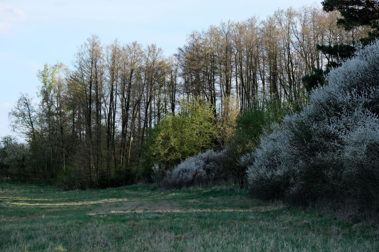 newsletter image